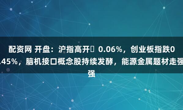 配资网 开盘：沪指高开​0.06%，创业板指跌0.45%，脑机接口概念股持续发酵，能源金属题材走强